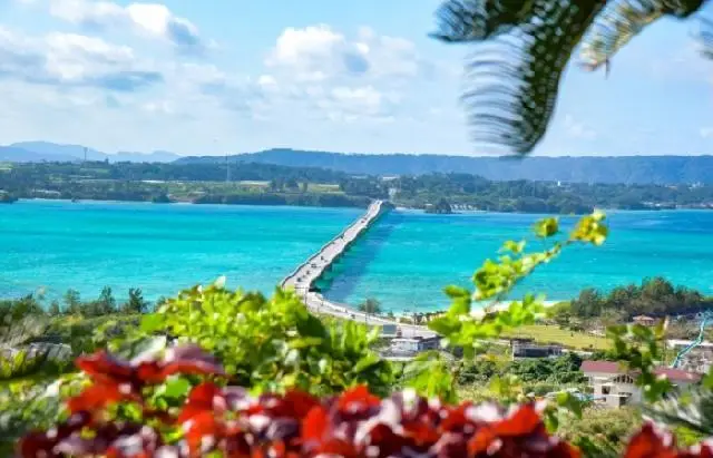 全国拠点90か所、顧問先数17,000件を超える豊富な経験と実績、国内最大級のコンサルティングファーム